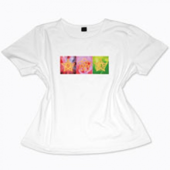 Venus-T-Shirt, weiß mit Farbdruck für Damen